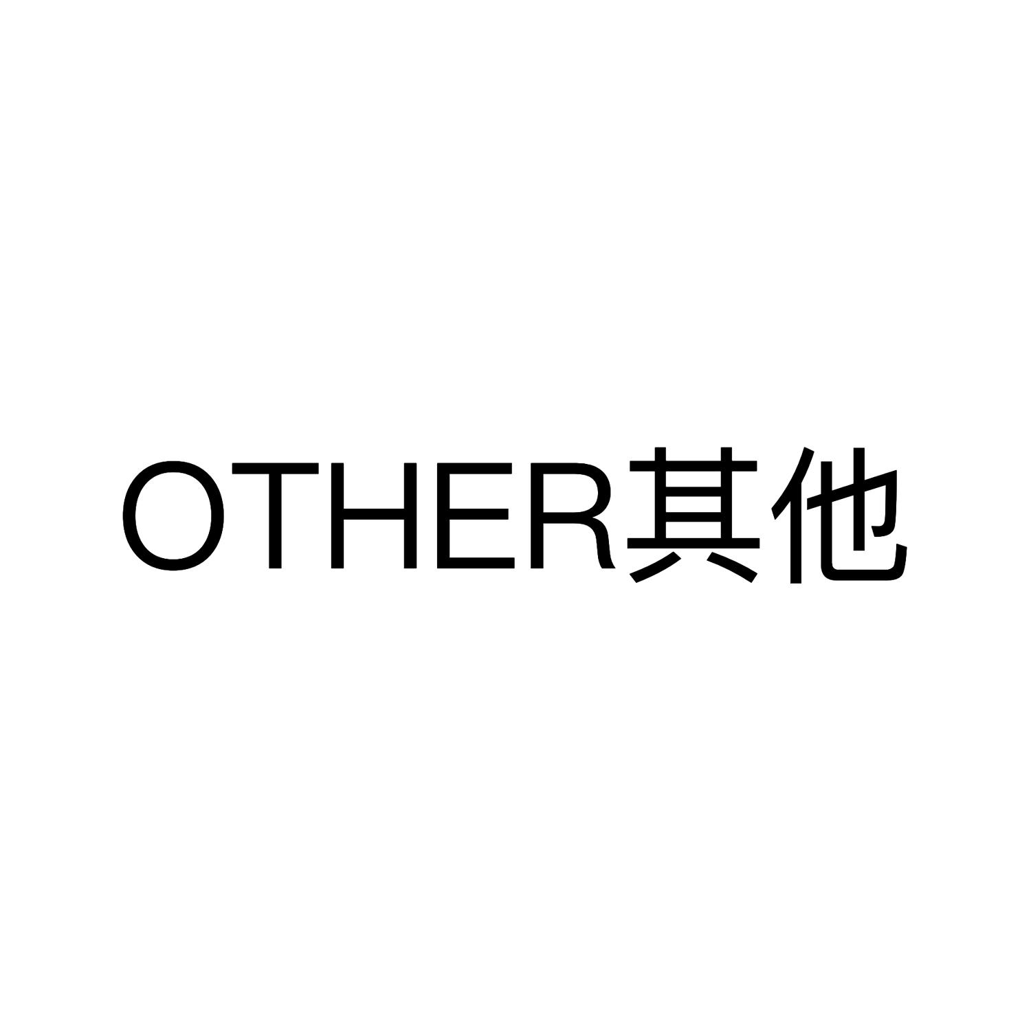 其他